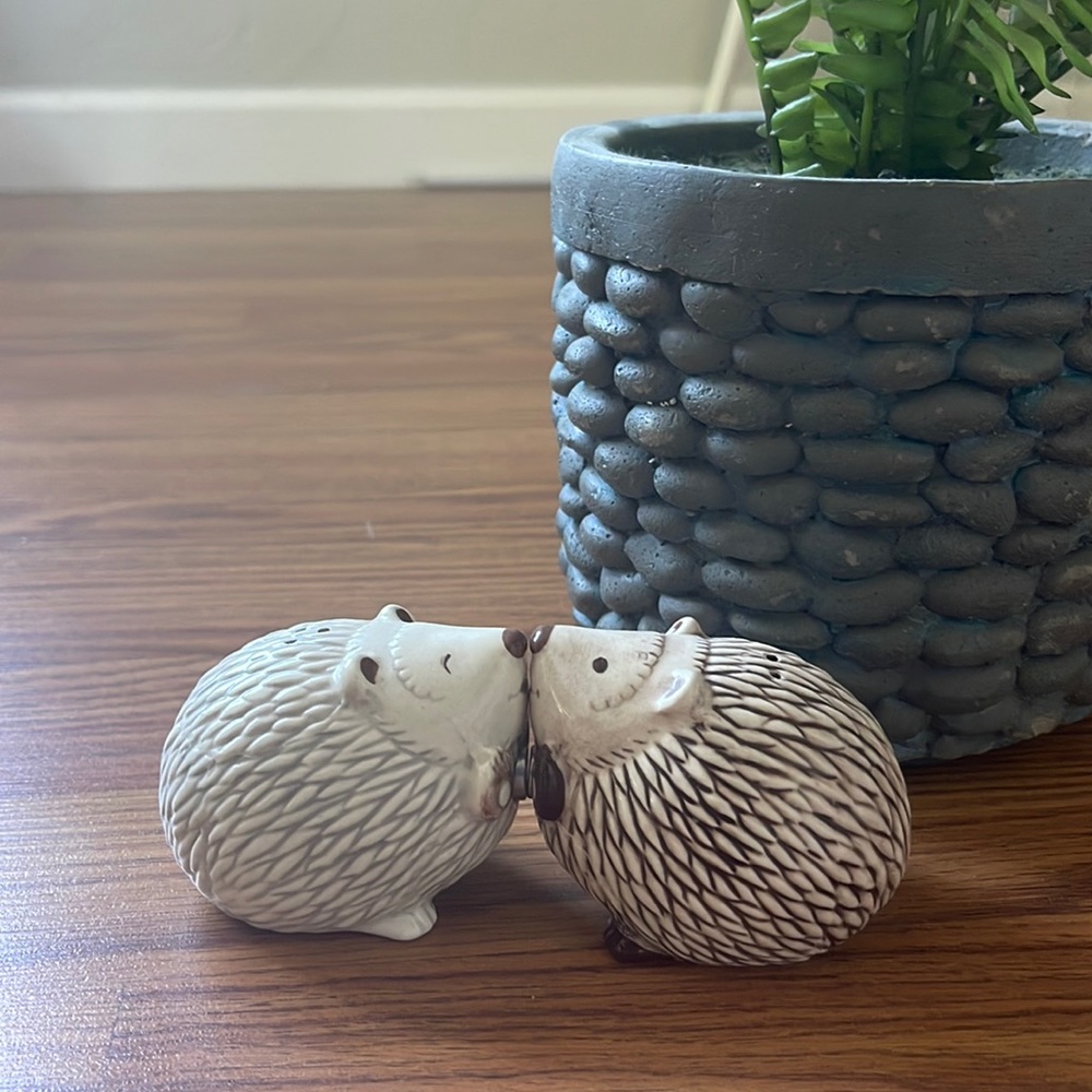 👻Salt & Pepper Shakers